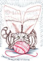 Pallas Cat Moth